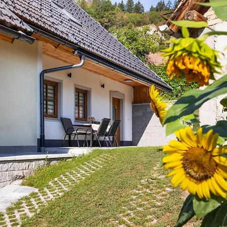 Apartma Bogdan Διαμέρισμα *